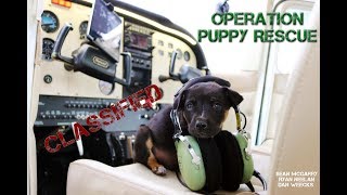 Operation Puppy Rescue - Page, AZ