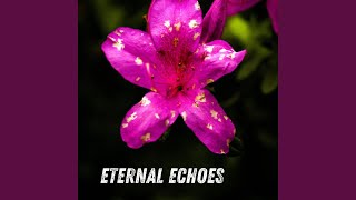 Eternal Echoes