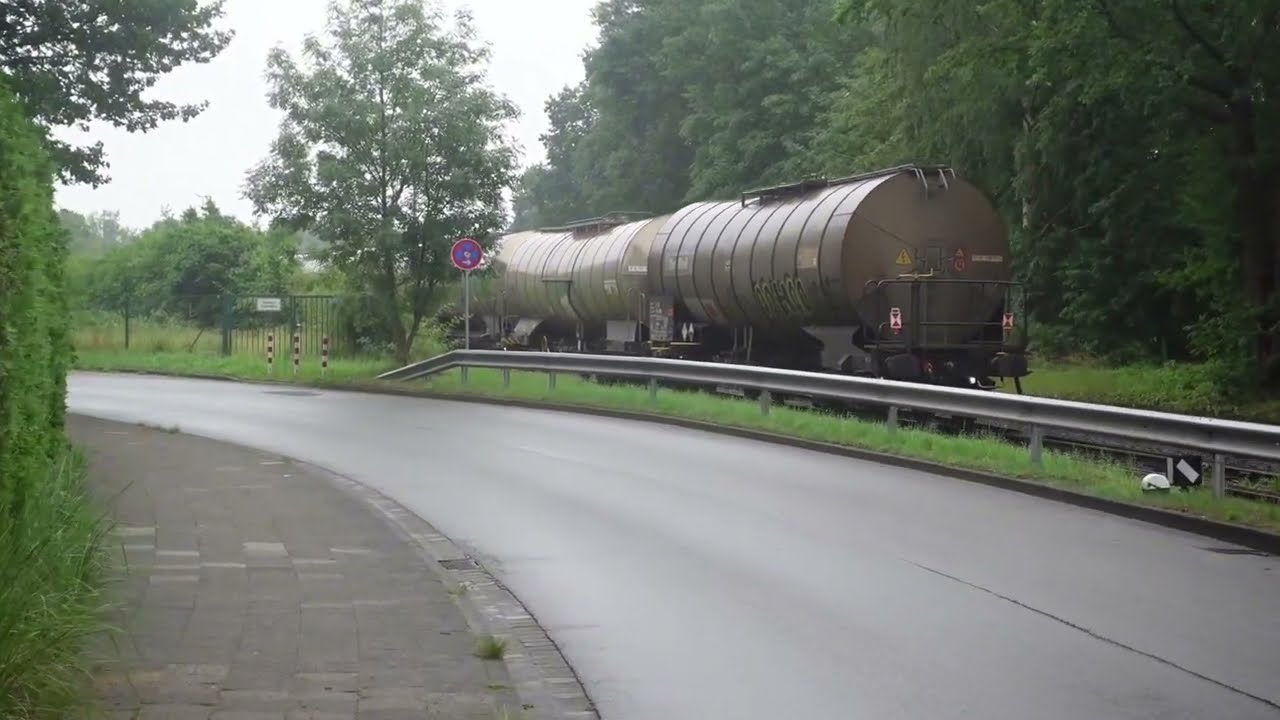 Nebenbahn, Arbeitsfahrzeuge & Durchfahrende Züge im Bahnhof Winsen