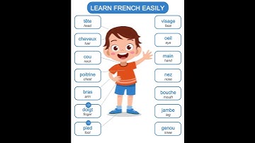 The parts of the body in French 🦵🇫🇷