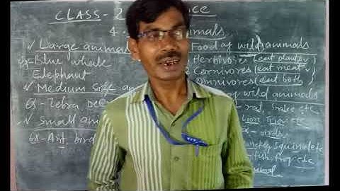 Class : 2 Science  chapter :4 ( Wild animals )
