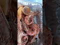 Ташкент .Лангусты к завтраку .Очень вкусно.Подарок от Инули к 8 Марта.