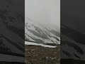 Rohtang pass 13000 ft high #india #shorts