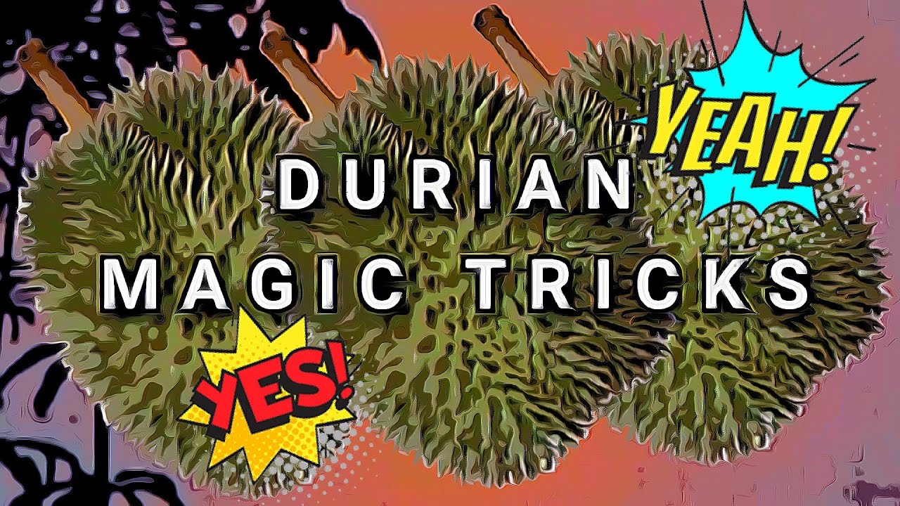 Durian magic tricks