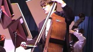 Celebrity Intrigue - Davison String Orchestra Profile