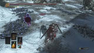 Dark Souls 3-Parry King Vs Dead Angle