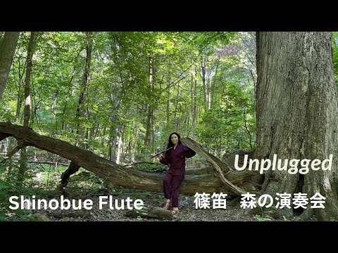 Shinobue Flute Un-Edited Natural Beautiful Sounds in the Woods