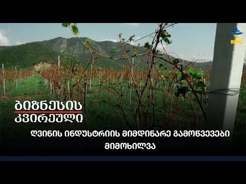 ღვინის ინდუსტრიის მიმდინარე გამოწვევები - მიმოხილვა