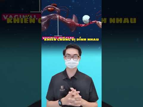 Video: Làm gì với chó Ăn đá và gậy