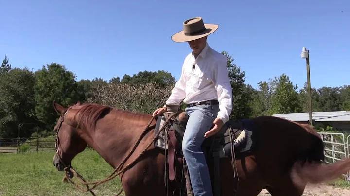 Trotting Secrets!!!