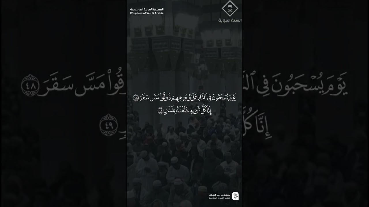 تصاميم قصيرة من الحرم النبوي | شهر رجب 1447هـ الحلقة الرابعة عشر