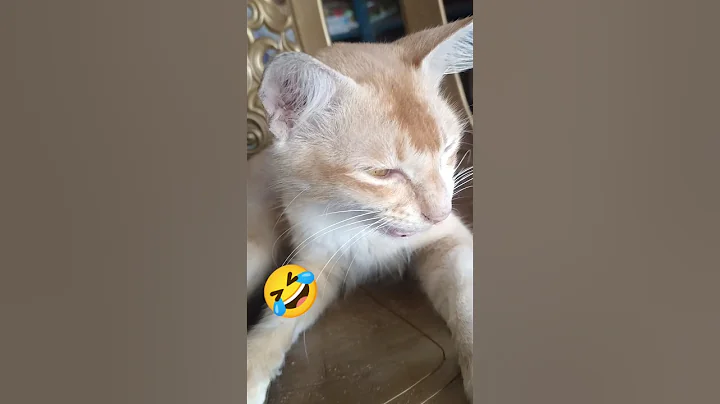 or worse yet, an ELECTRIC EEL 🙀 🎥: pjordan922 (TT), #shorts