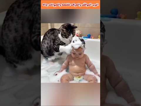 اغرب المواقف والحرات للقطط والحيوانات ج