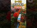 9~11월 절대 놓치면 안되는 가을여행지 베스트 6!!! 올 가을 이영상 하나면 됩니다! 죽기전에 꼭 가봐야 할 인생여행지,단풍명소 총정리편!!!!