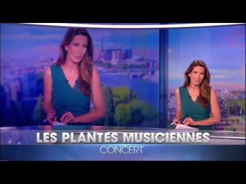 Bug dans les titre du 20H de TF1, 27/05/2017