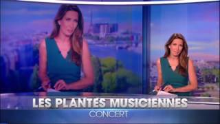 Bug dans les titre du 20H de TF1, 27/05/2017