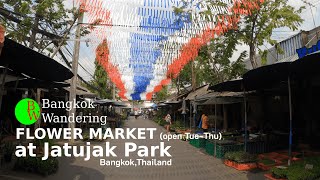 #ASMR #Bangkokwandering [ 4K ] WalkingTour JJ PARK FLOWER MARKET, Thailand