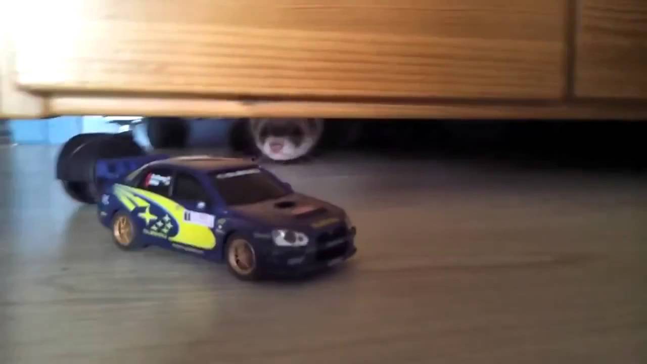 Автомобиль хорек что это