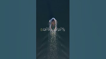 سورة الكافرون بصوت الشيخ فارس عباد  #faresabbad #اكسبلور