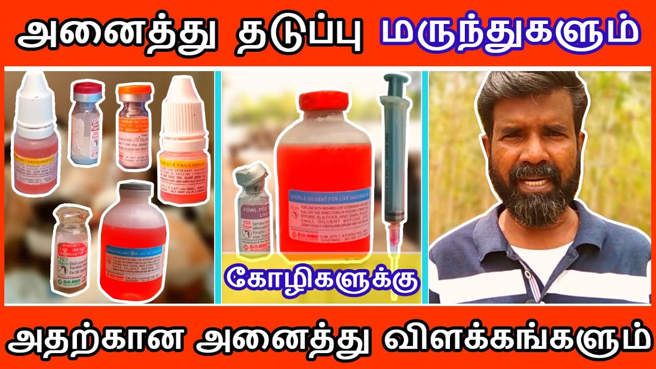 குஞ்சிலிருந்து கோழியாகும் வரை அனைத்து தடுப்பு மருந்துகளும் 16.07.2021 |TAMIL| GUNA NATTUKOZHI PANNAI
