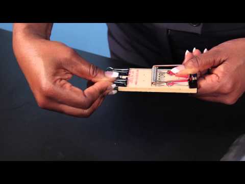 Carolina STEM Challenge Mousetrap Car