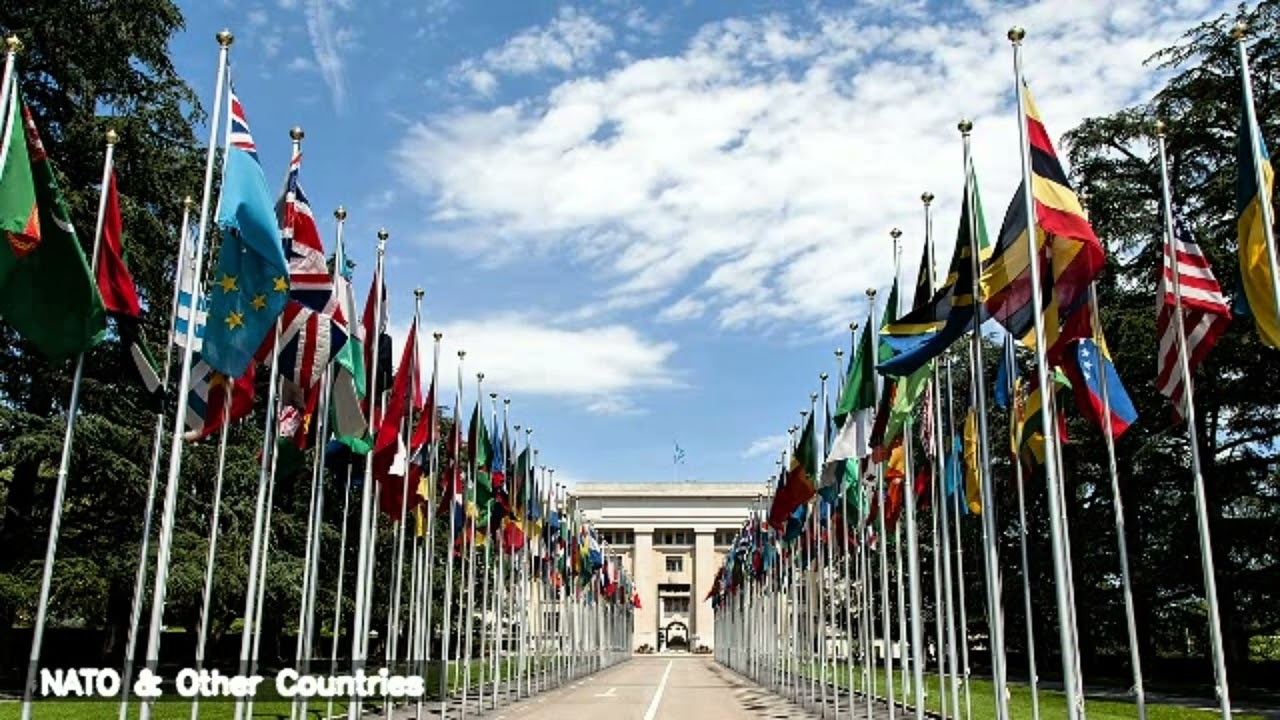 Greenland, NATO, Trump and U.S. Politics - A 2025-26 Overview **Introduction** 