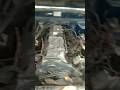 Toyota hilux || 2200cc Engine,