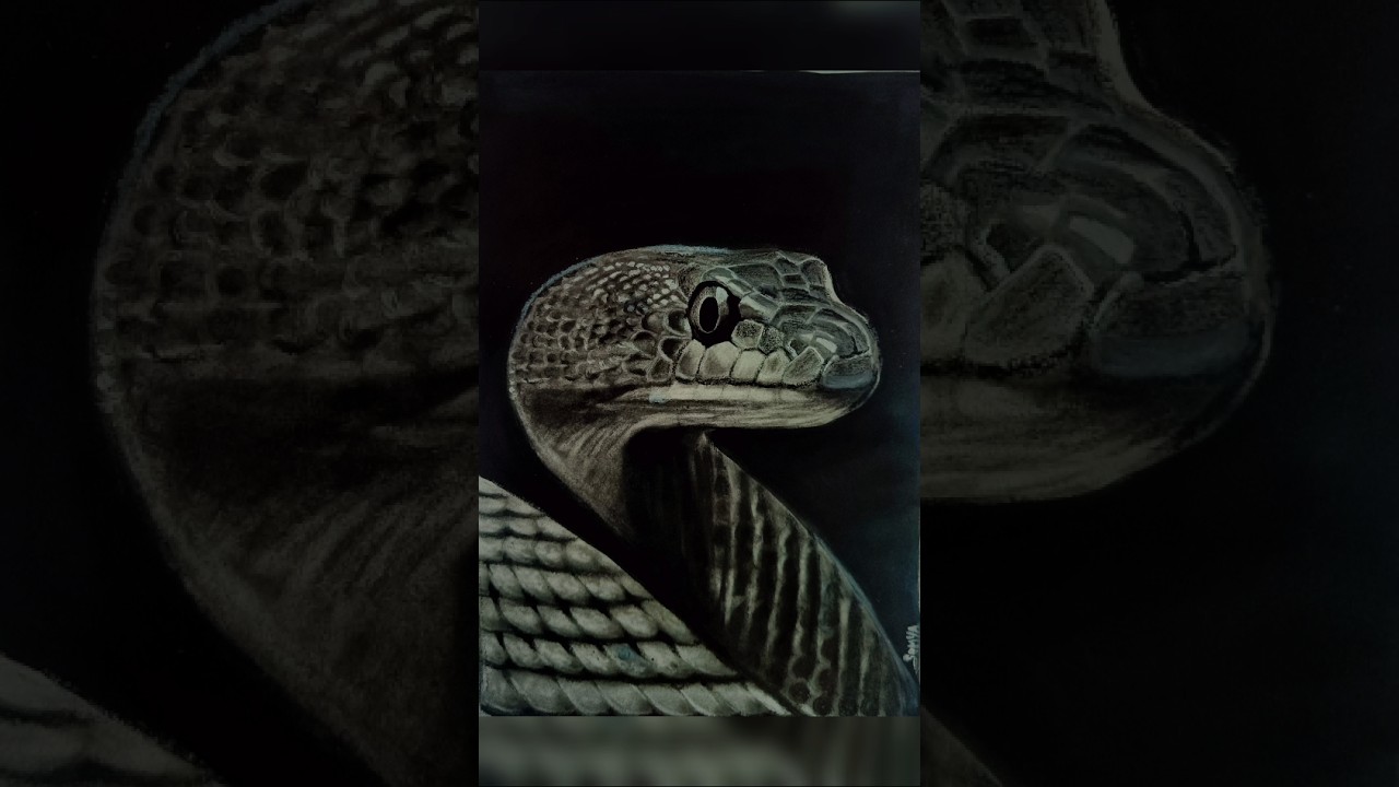 Realistic snake drawing 🔥