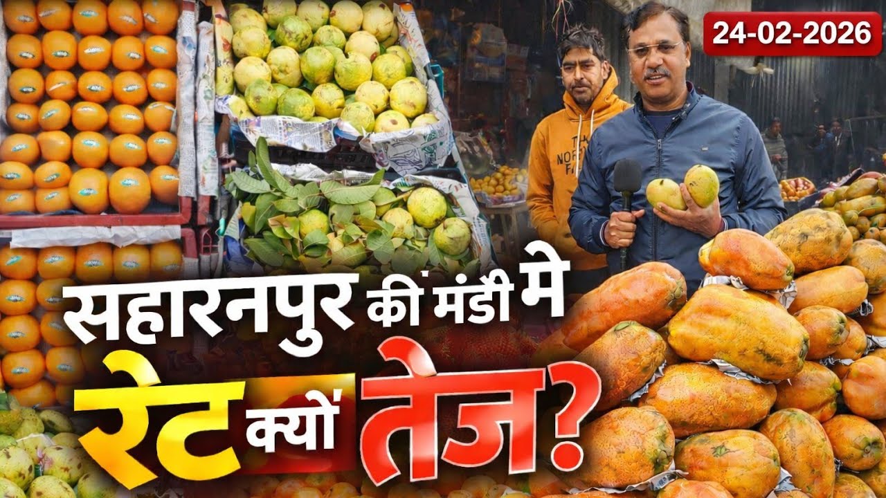 आज सहारनपुर की फल मंडी में कौन सा फल था ज्यादा। 24 February 2026