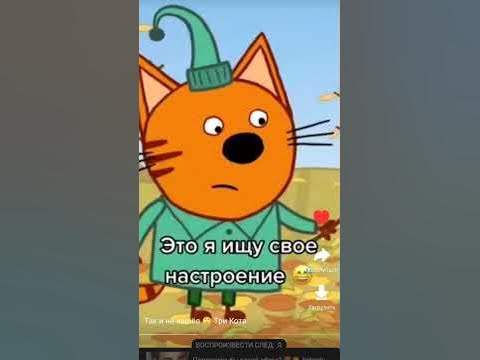 #тикток три кота #трикота #врекомендации #врекомендации #трикота #3кота ...
