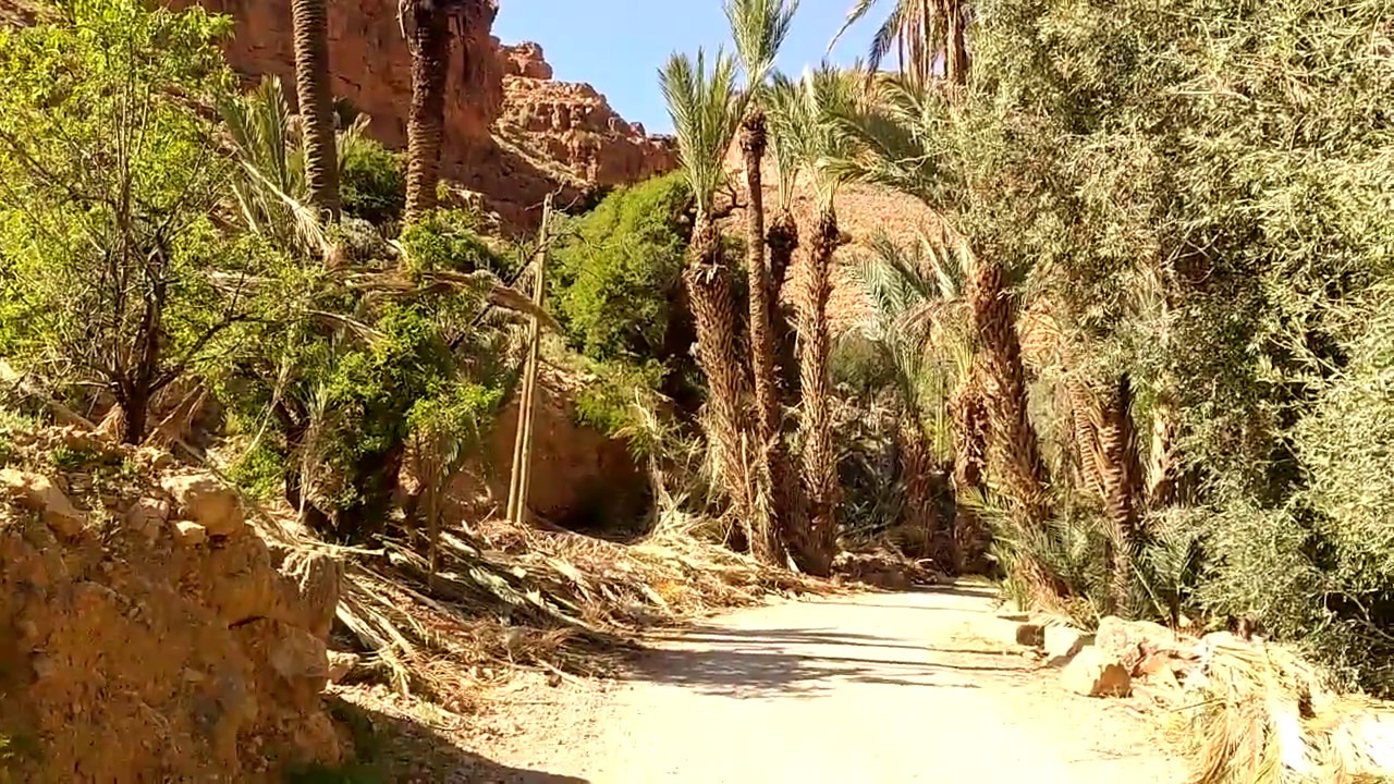 OurTour walk through the oasis in the Ait Mansour Gorge in Morocco