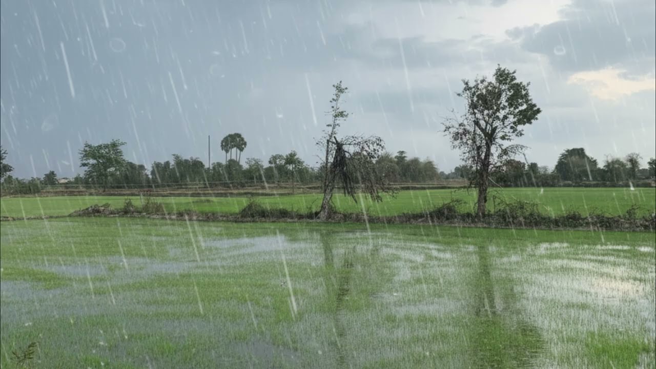 Rain drops on a Quiet View