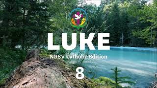 Luke 8 | English Audio Bible | AFCM | NRSV Catholic Edition