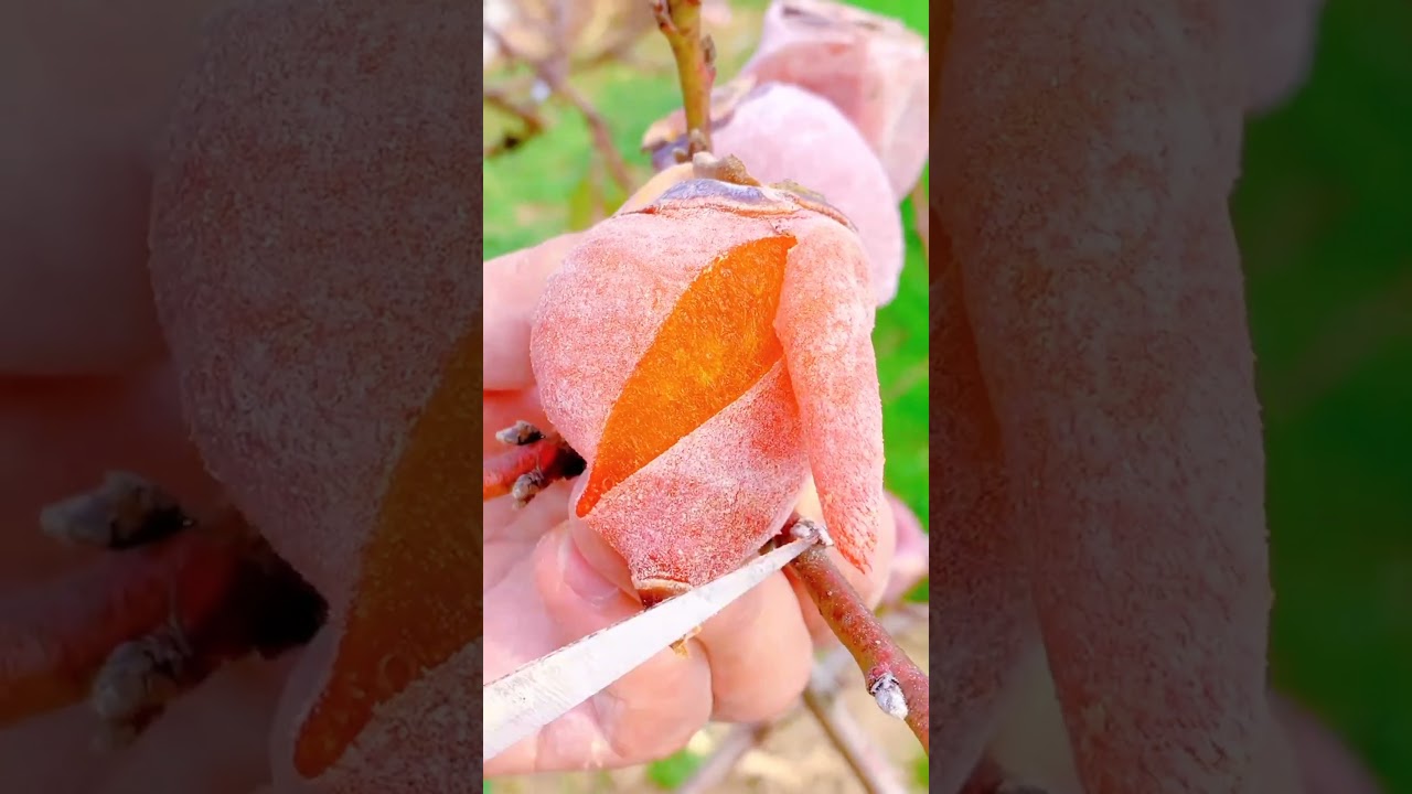 could use Fruit Carving 🍓🍇🍎🍈🥭🍉