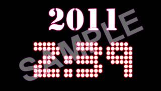 New Year's Eve Countdown (NYE 2012)