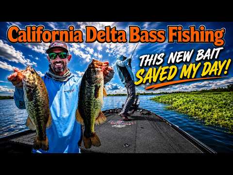 I Was Struggling… Then I Tried THIS BAIT! | California Delta Bass Fishing