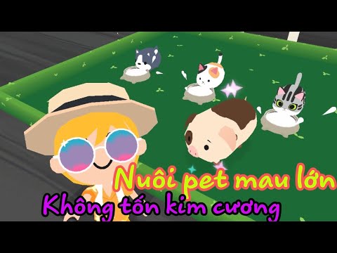 #1 Play Together | chăm sóc thú cưng lớn nhanh cực dễ không cần kim cương Mới Nhất