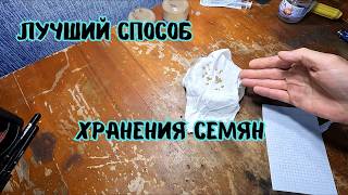 Секрет Правильного Хранения сортовых Семян Овощей