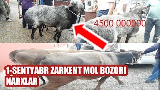 1-Sentyabr Zarkent mol bozori narxlari bilan tanishing