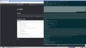 Exploit Exercises - Nebula (Level 01)