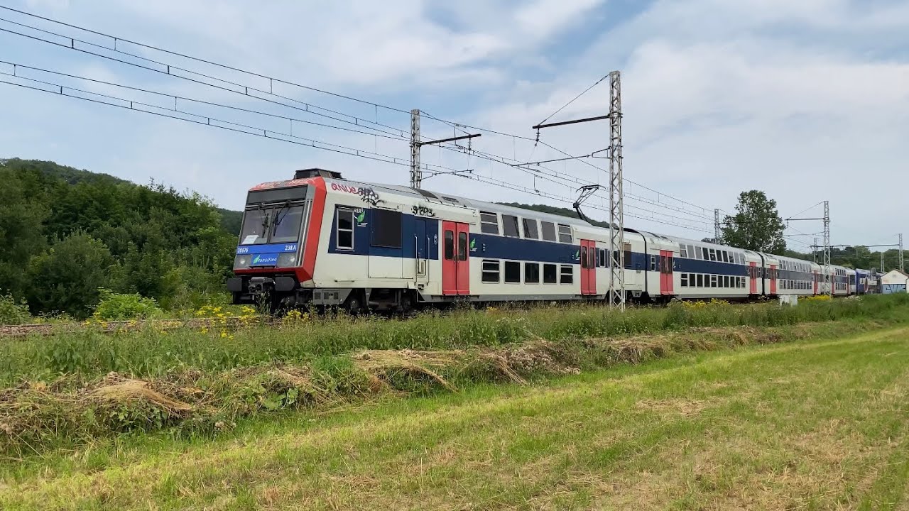 Compilation de klaxons / Train horn Compilation - Été 2021