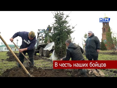 В станице Темижбекской заложили Аллею славы.