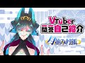 ◤自己紹介◢VTuber一問一答自己紹介/月並み月狐