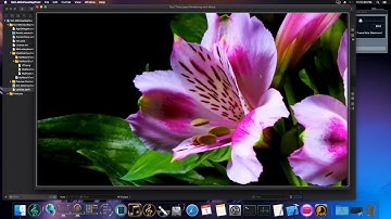 SwiftUI MacOs - Timelapse Frames Rendering