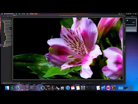 SwiftUI MacOs - Timelapse Frames Rendering