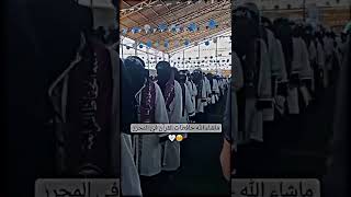 ماشالله حافظات القرأن الكريم في ادلب تبارك الله ادلب تخرج اكثر من 500 خاتم للقرأن الكريم #قران_كريم