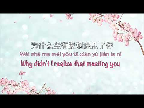 小幸运 A Little Happiness Hebe Tien 田馥甄 Our Times 我的少女时代 OST Chinese Pinyin English Translation 