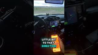 Camping and BLM land in Goldfield