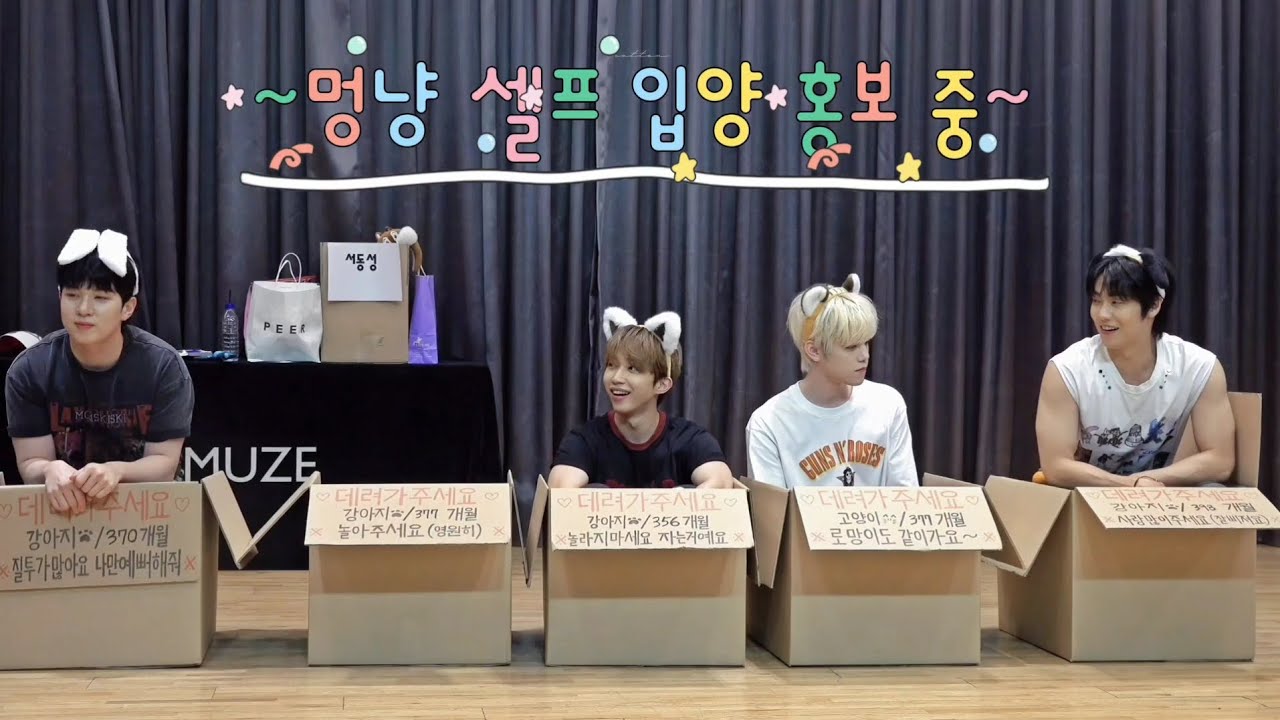 [엔플라잉 팬싸] 멍냥플라잉 중 누구를 입양할까? 250724 제이제이뮤즈