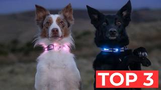 TOP 3 Best LED Dog Collar 2025